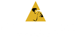 Best Photographers in Ahmedabad
